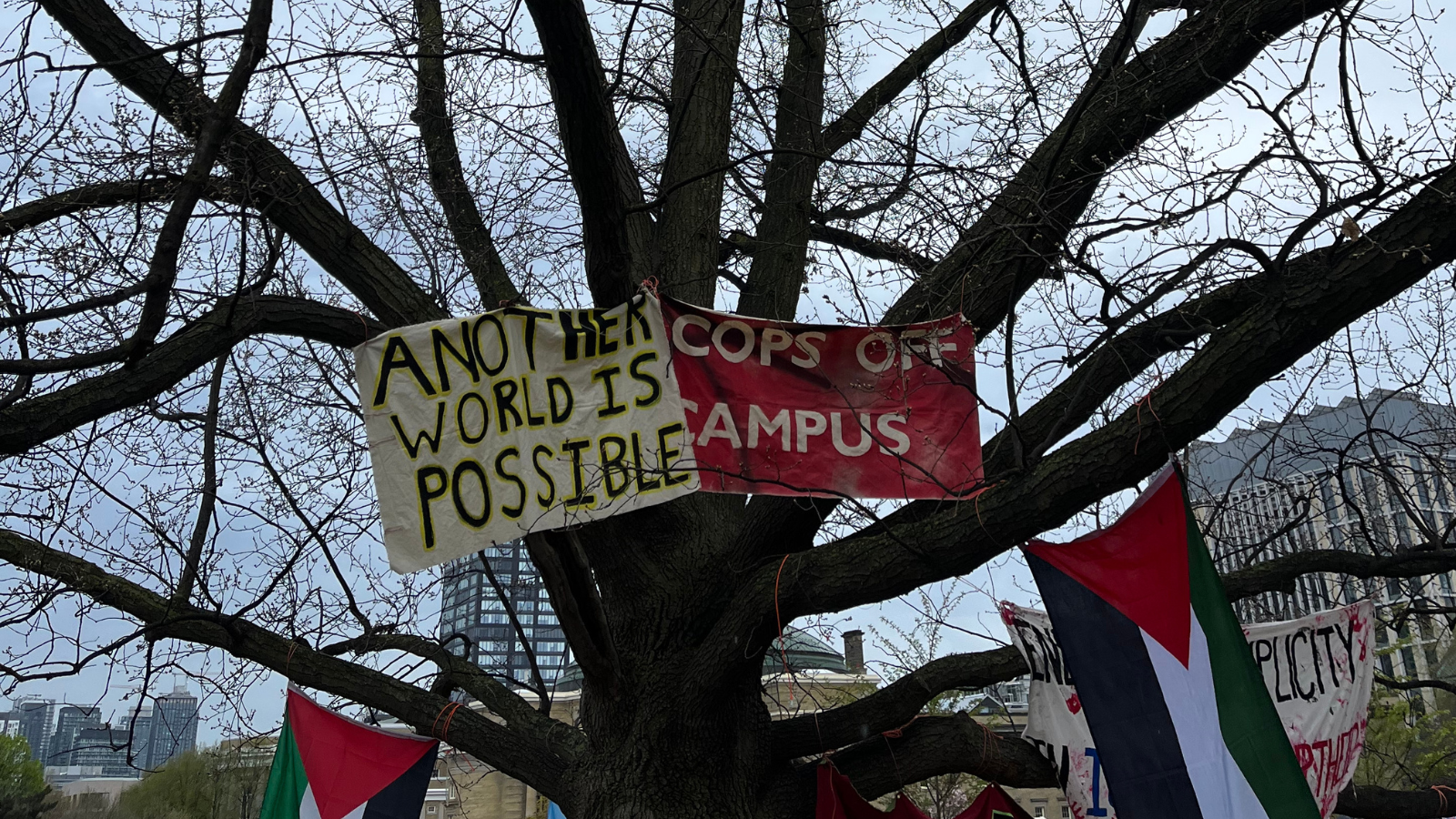 The Student Encampment Movement is Part of a History of Militant Struggle Against Settler Colonialism