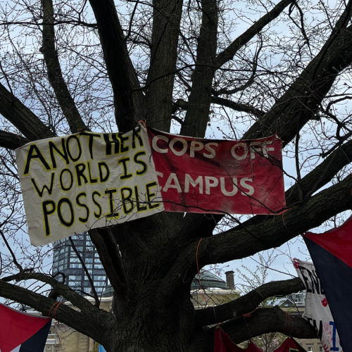 Banners in a tree at the University of Toronto Palestine encampment. The banners read "Another World is Possible" and "Cops Off Campus." Palestine flags can be seen. The trees are leafless and the sky is grey.