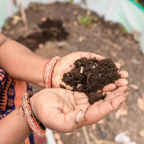 A person with brown skin and bracelets around their wrists holds dirt in their hands, a worm visible in it. They appear to be standing in a garden or similar outdoor space.