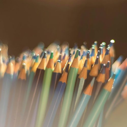 An assortment of coloured pencils stand at attention, as if in solidarity with each other and mobilized.